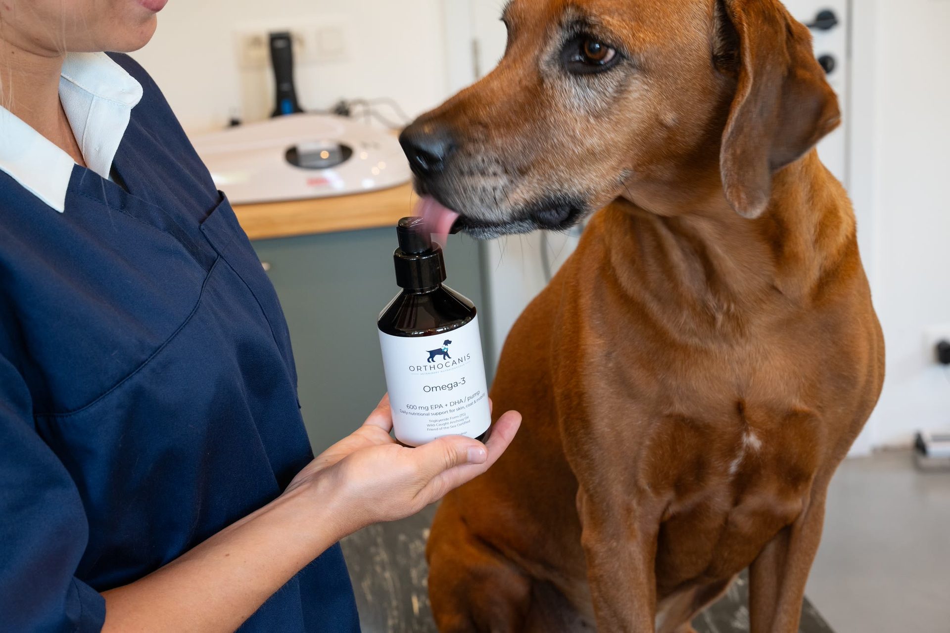 Hond maakt kennis met ORTHOCANIS Omega-3 in de dierenartsenpraktijk